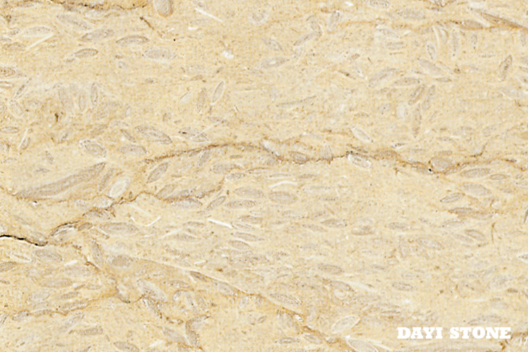 Silver Beige Natural Marble - Dayi Stone